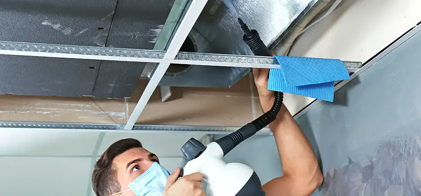 Our Air Duct Rodent Removal Services in Kerrville, TX
