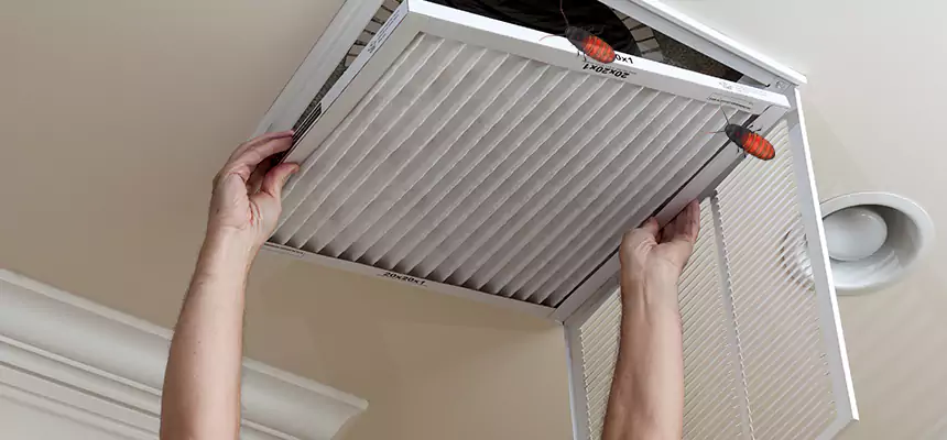 Our Insect Removal from Air Ducts Services in Kerrville, TX