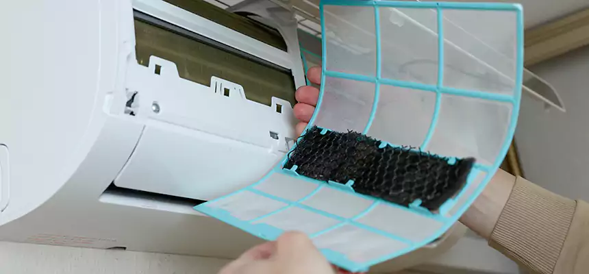 Gentle Ductwork Odor-Control Pet Dander Duct Cleaning in Kerrville, TX