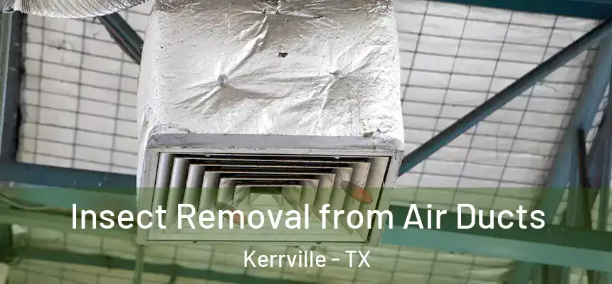  Insect Removal from Air Ducts Kerrville - TX