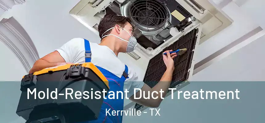  Mold-Resistant Duct Treatment Kerrville - TX
