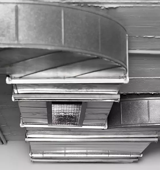 Professional Air Duct Pet Hair Removal in Kerrville, TX