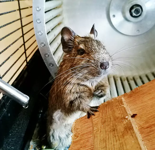 Why Homeowners & Businesses Trust Us Kerrville, TX