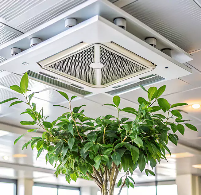 Why Homeowners & Businesses Trust Us in Kerrville, TX