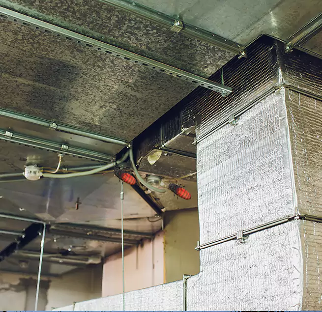 Why Homeowners & Businesses Trust Us Kerrville, TX?