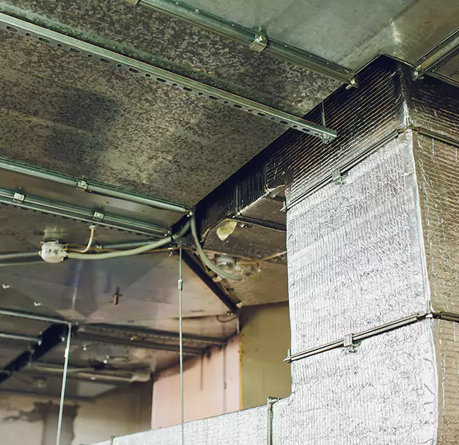 Why Homeowners & Businesses Trust Us in Kerrville, TX?